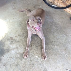 Meet your Posher, Jasmine